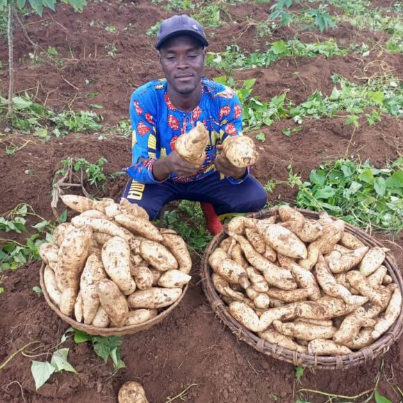 Activités agricoles des personnes handicapées dans l’Ouémé : Lucien DJIDONOU, un exemple à suivre