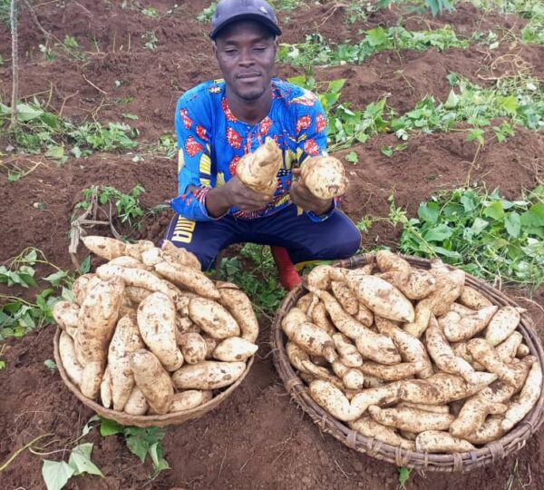 Activités agricoles des personnes handicapées dans l’Ouémé : Lucien DJIDONOU, un exemple à suivre