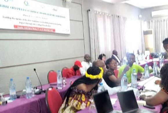 Action humanitaire  en Afrique : Les organisations de personnes handicapées réfléchissent sur la question de l’inclusion