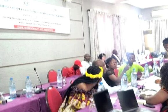 Action humanitaire inclusive en Afrique : les organisations de personnes handicapées en réflexion