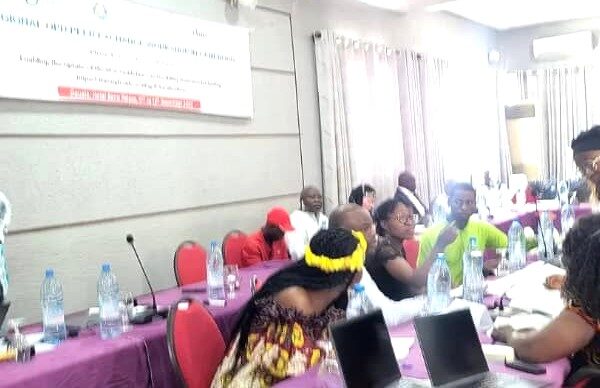 Action humanitaire inclusive en Afrique : les organisations de personnes handicapées en réflexion